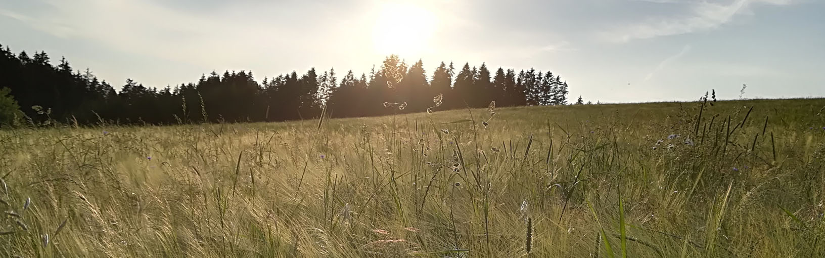 Garn av høy kvalitet til strikking, hekling og toving LANA GROSSA<br> ull & garn